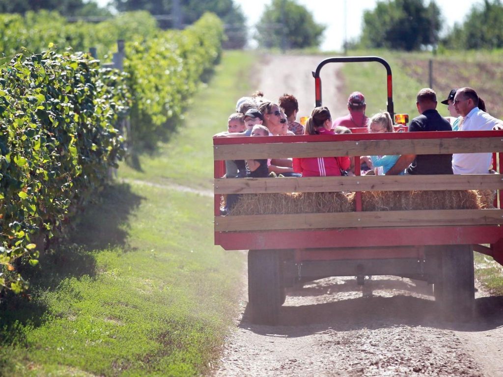 James Arthur Vineyards